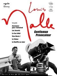 Affiche de Le Voleur