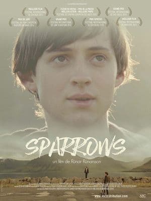 Affiche de Sparrows