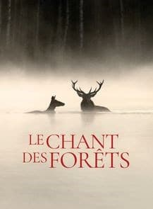 Affiche de Le chant des forêts