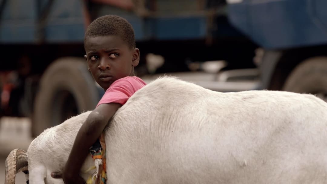 Affiche de Le mouton de Sada