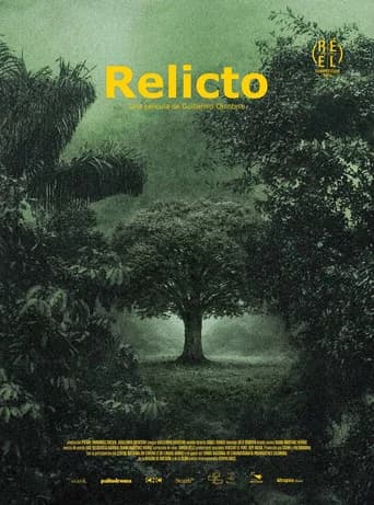 Affiche de Relicto