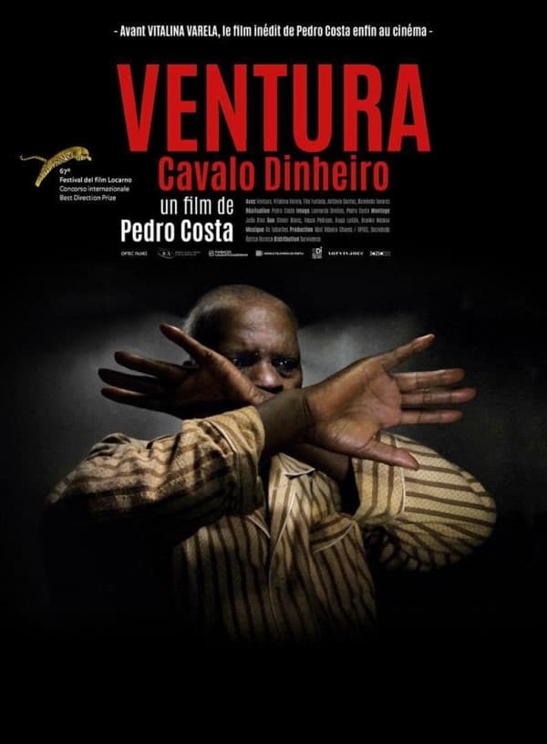 Affiche de Ventura